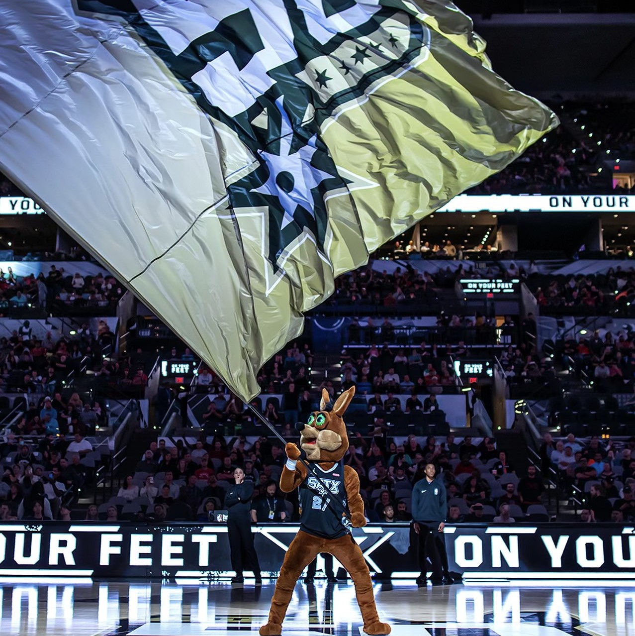 心理素质稳 心理素质稳